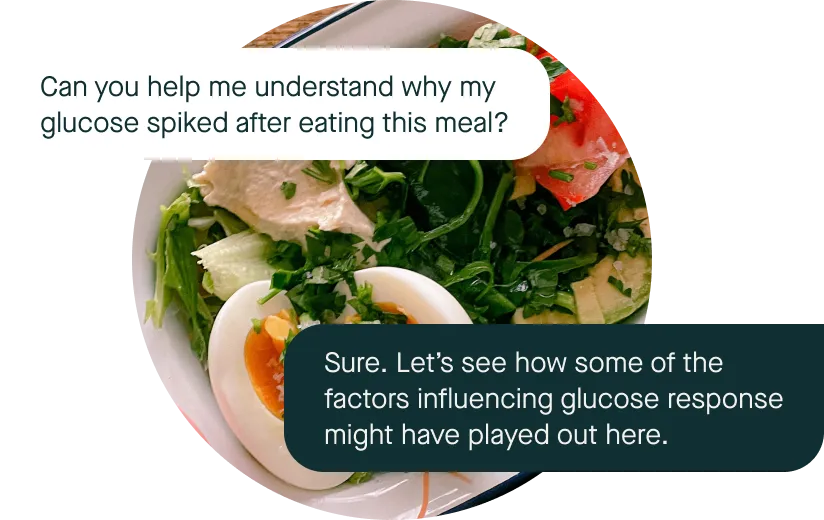 A chat guidance between Nutrisense dietitian with our customer displayed on top of a plate full of salad