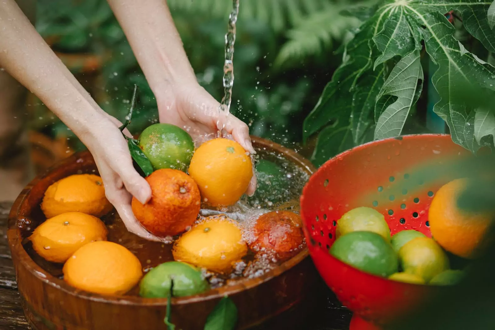 Person washing citrus fruits in wooden bowel