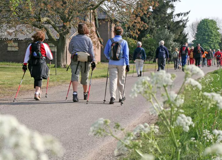 Group of people nordic walking