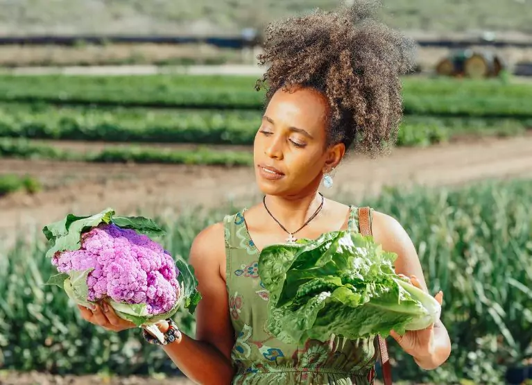 a  person holding purple cauliflower in garden