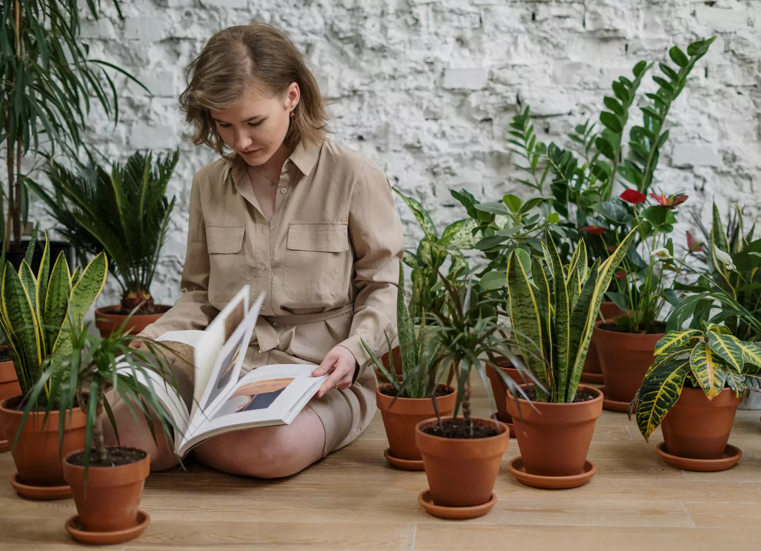 a person reading a book among houseplants 