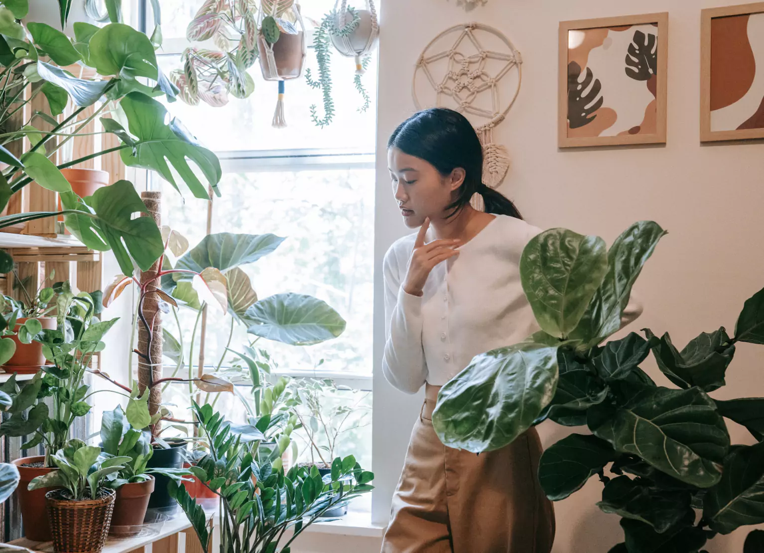 a person inside a room full of houseplants 