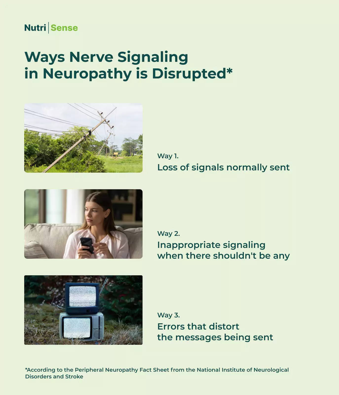 Ways nerve signalling is disrupted: loss of signals normally sent, inappropriate signalling where there shouldn't be any, errors that distort the messages being sent