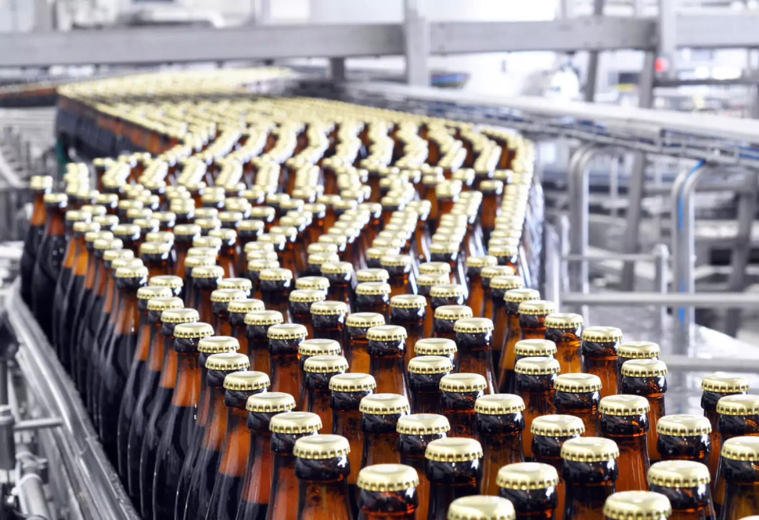 a row of beer bottles