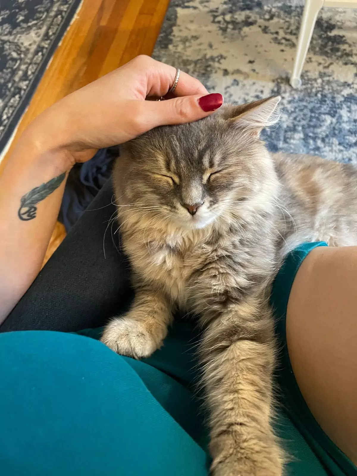 rhea with her cat