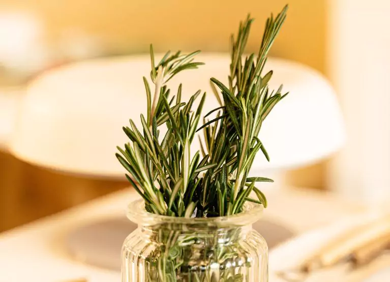 a jar of rosemary