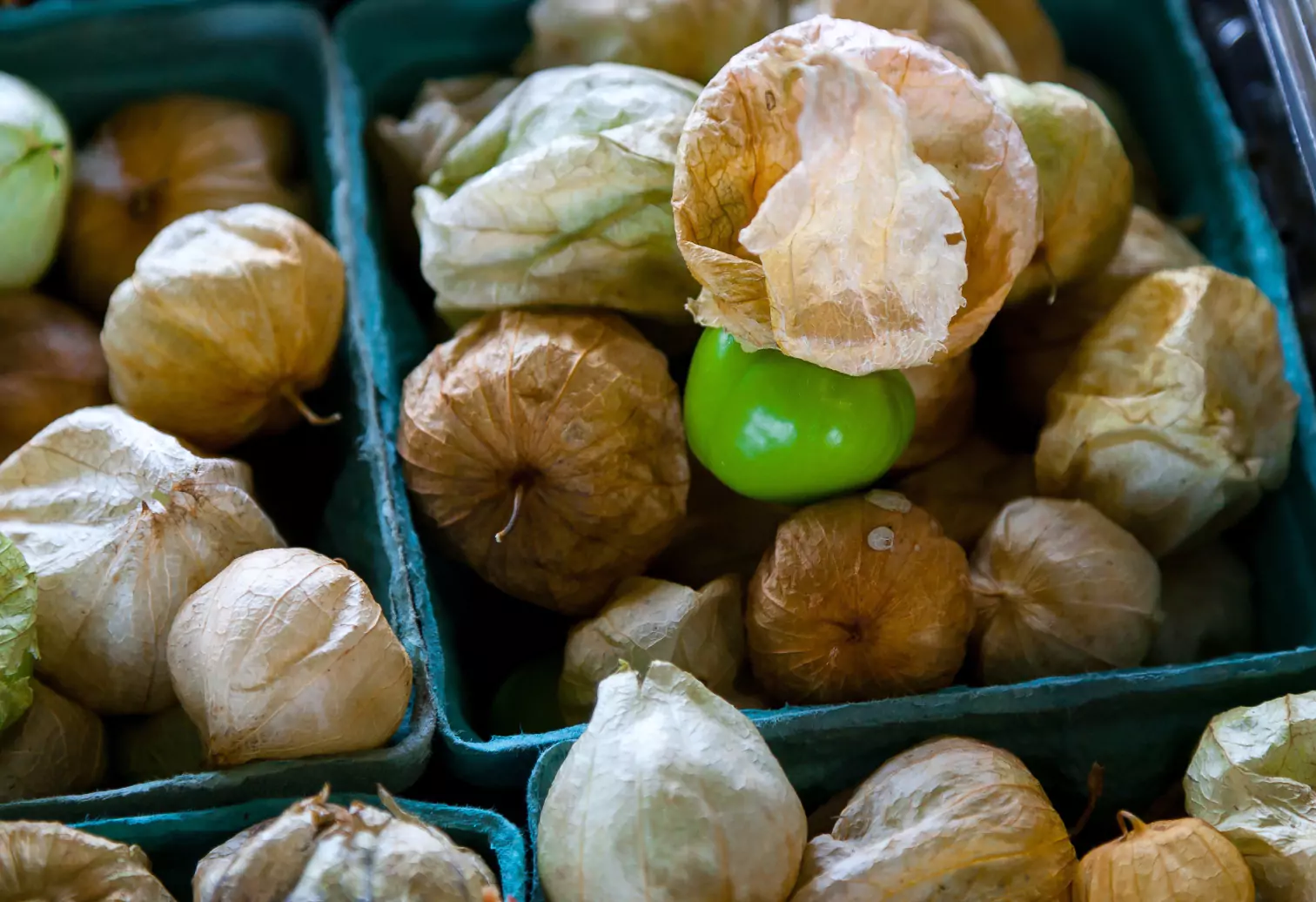 a basket of tomatillos