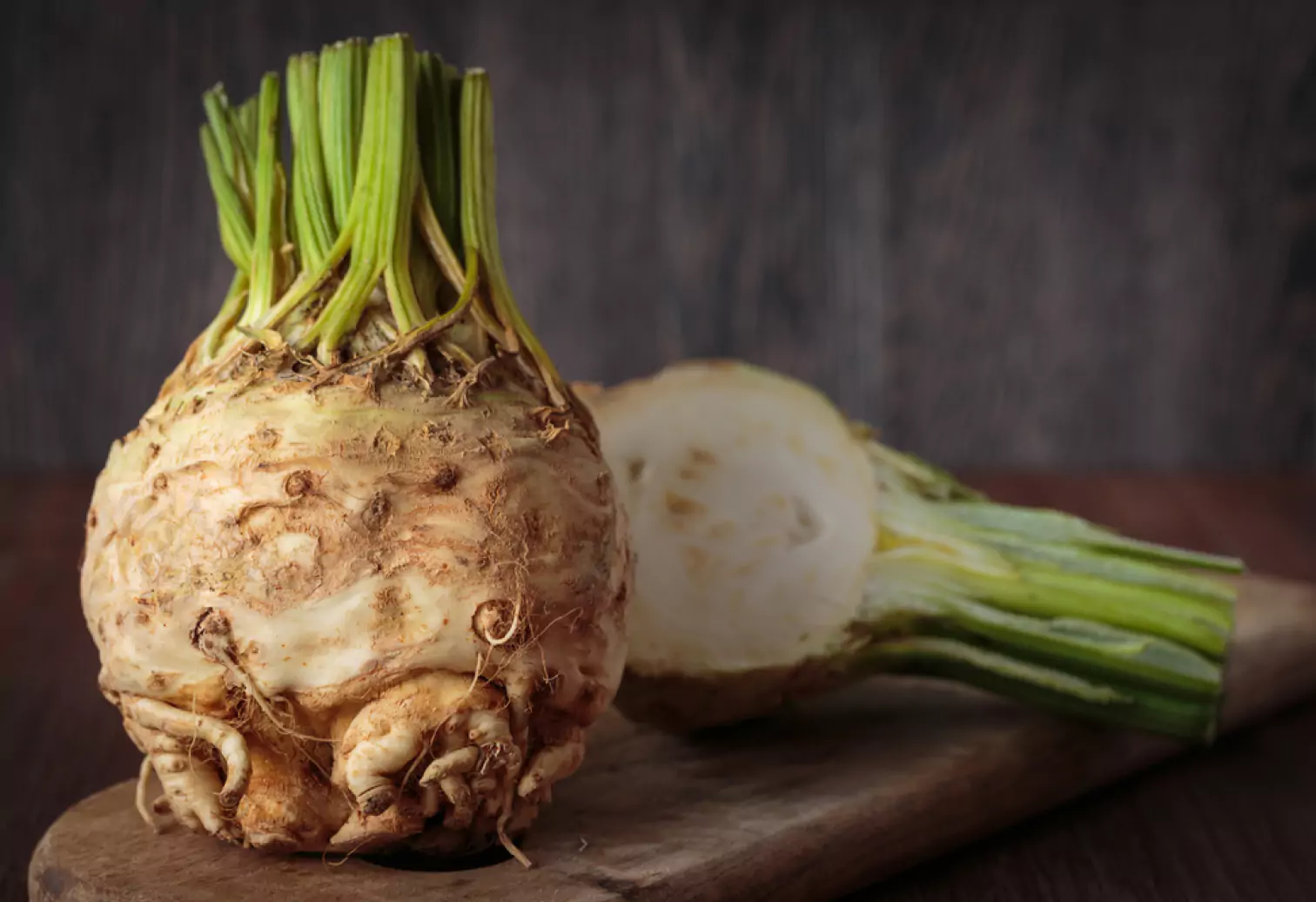 a celery plant