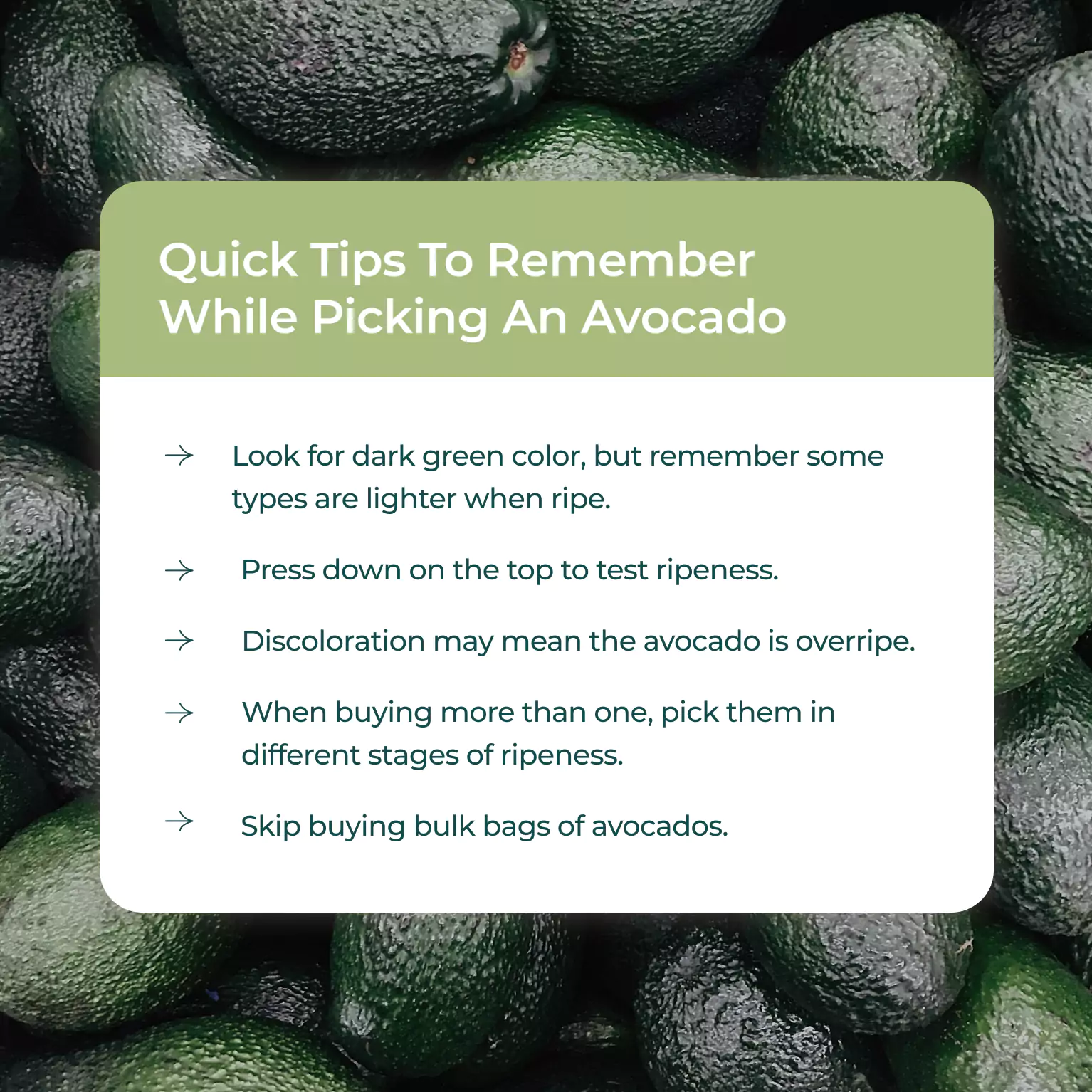 tips for picking avocado