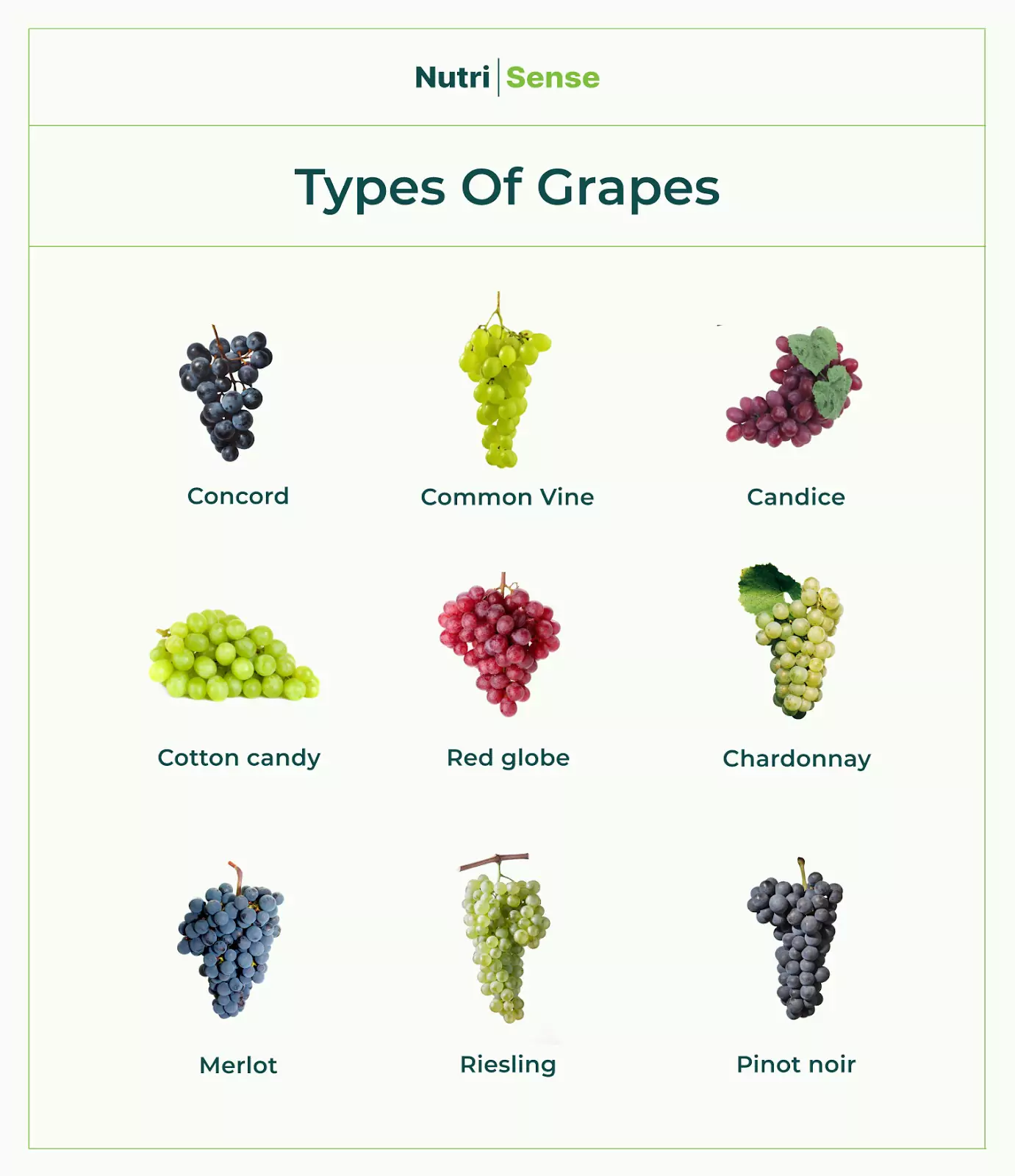 Different type of deals grapes