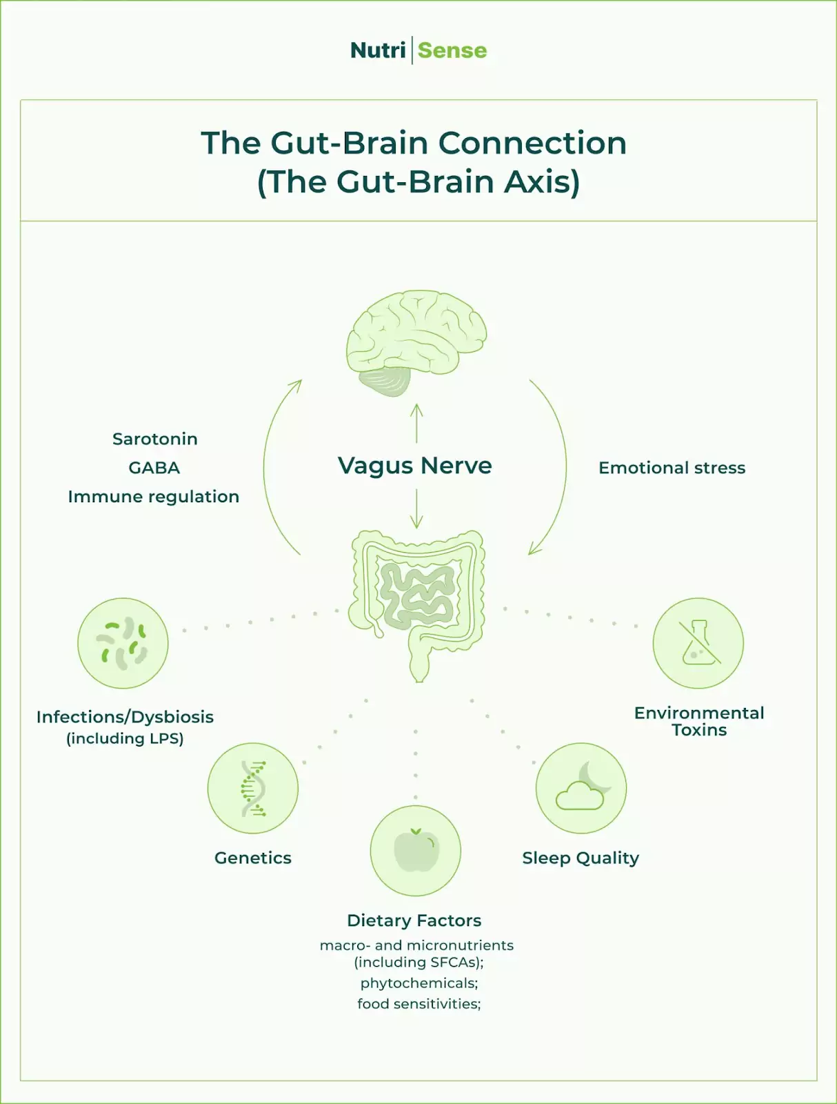 The gut-brain axis