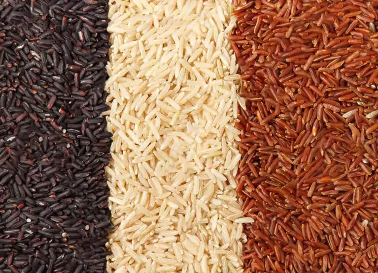 Different varieties of rice.