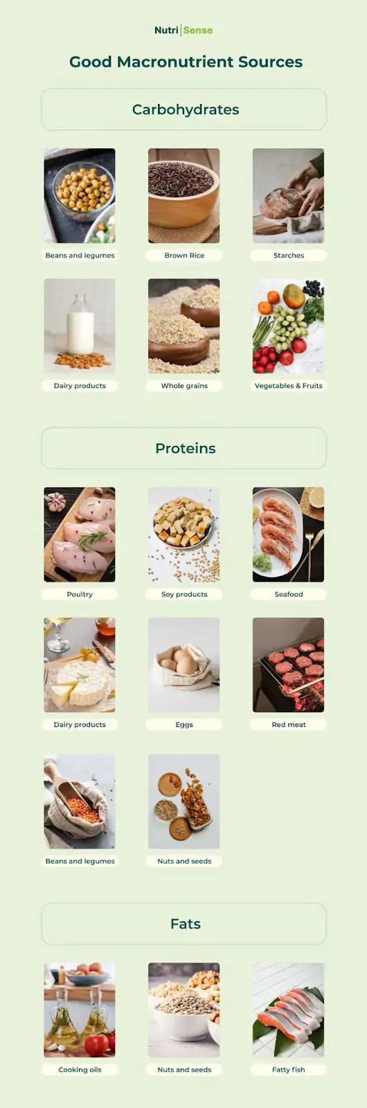 image of macronutrient sources