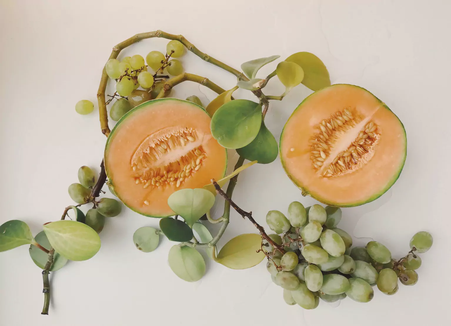 cantaloupe and grapes