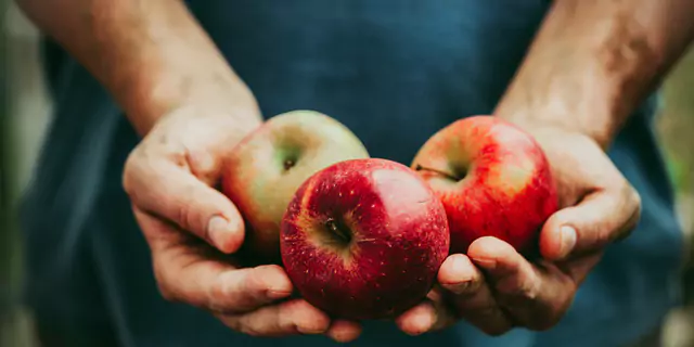 a person holding three apples 