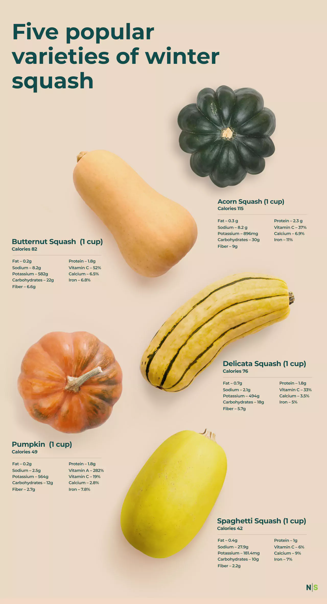 Butternut Squash and Blood Sugar Understanding the Impact Nutrisense