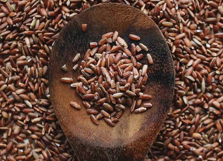 Wooden spoon holding whole grain rice