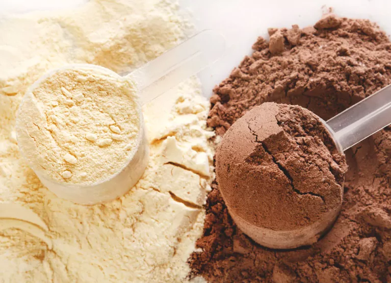 chocolate and vanilla protein powders