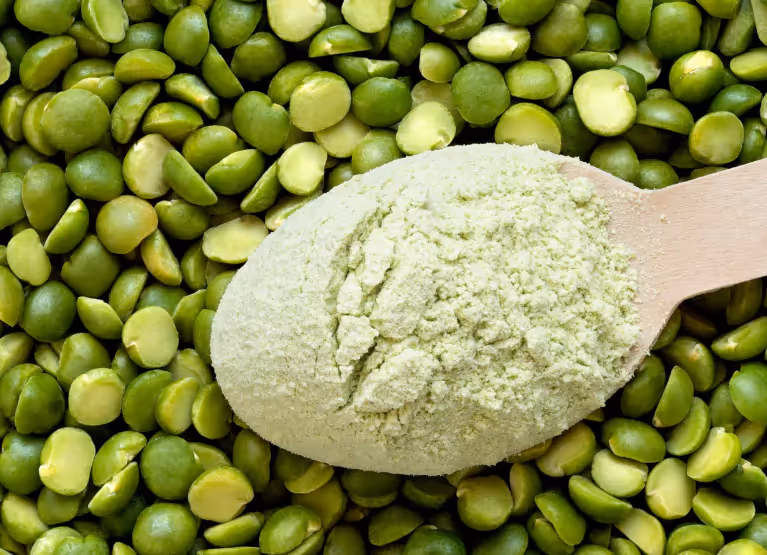 Pea protein powe