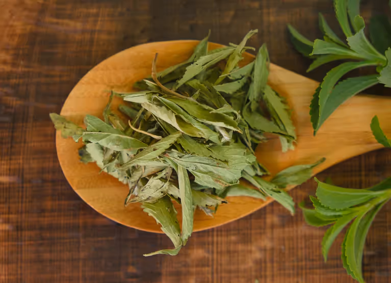 Stevia leaves on wooden spoon 