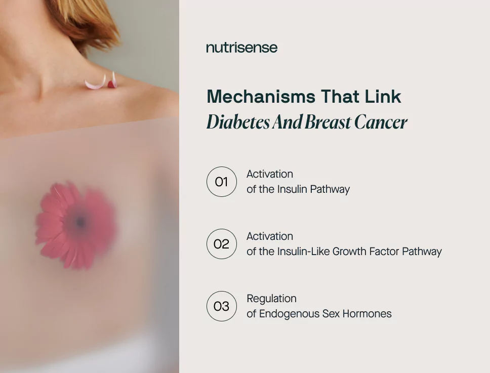 a graphic image of diabetes and breast cancer links