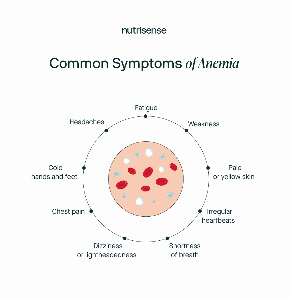 Common symptoms of anemia