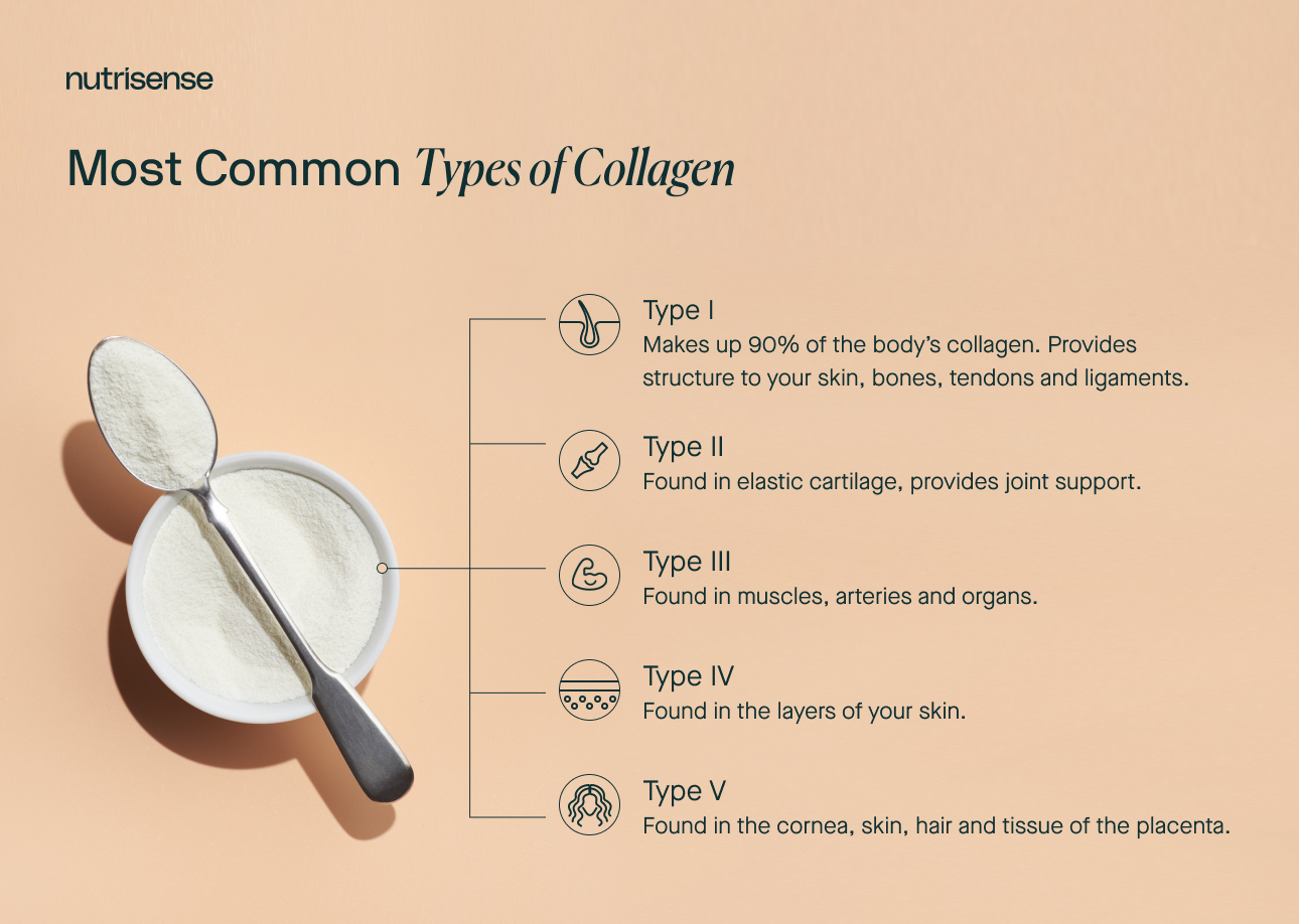 Most common types of collagen