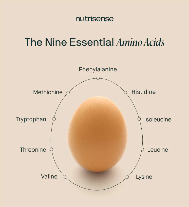 nine essential amino acid graphic