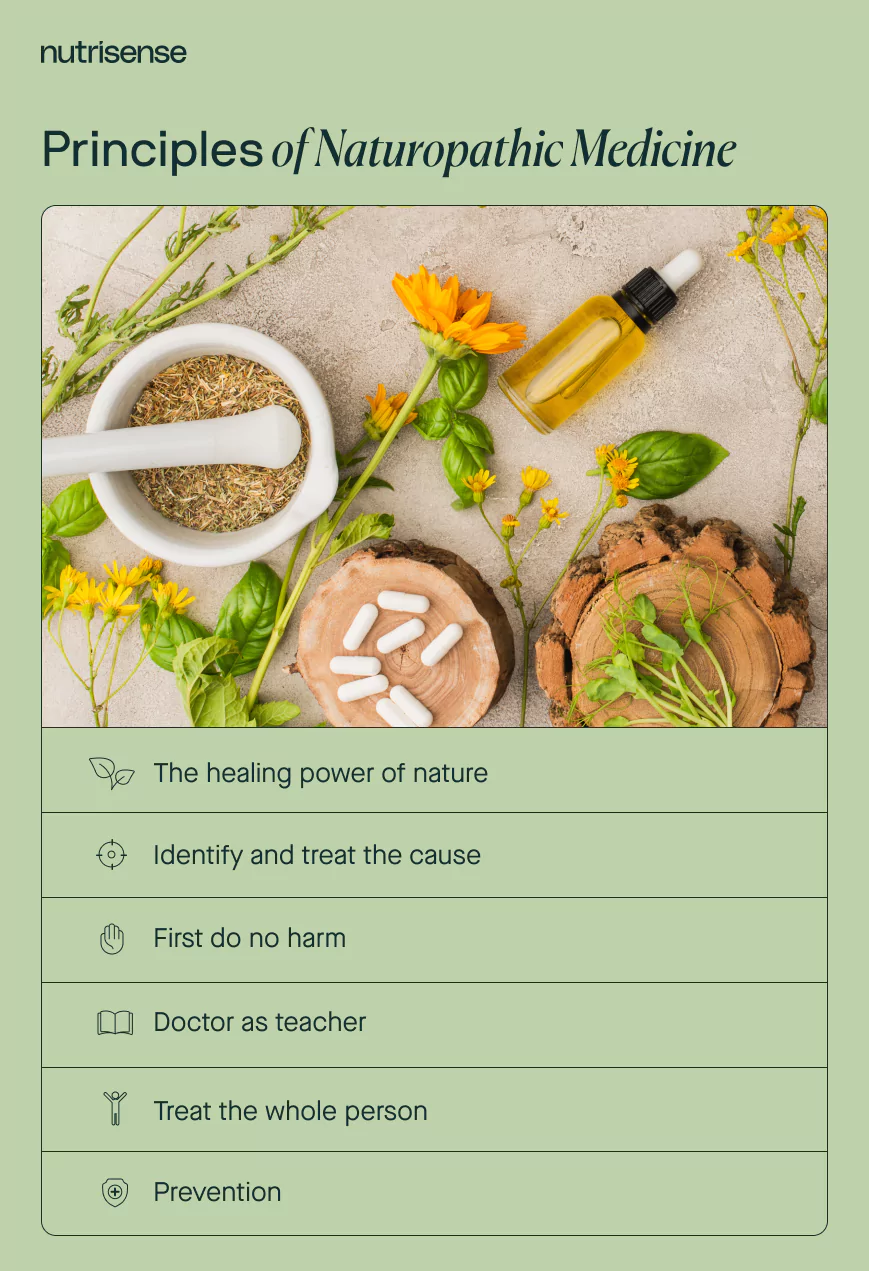 naturopathic medicine principles