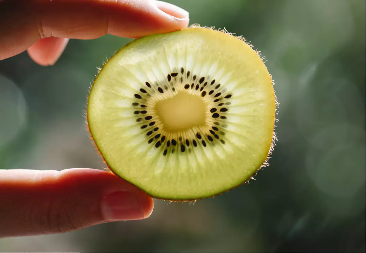 someone holding a slice of kiwi