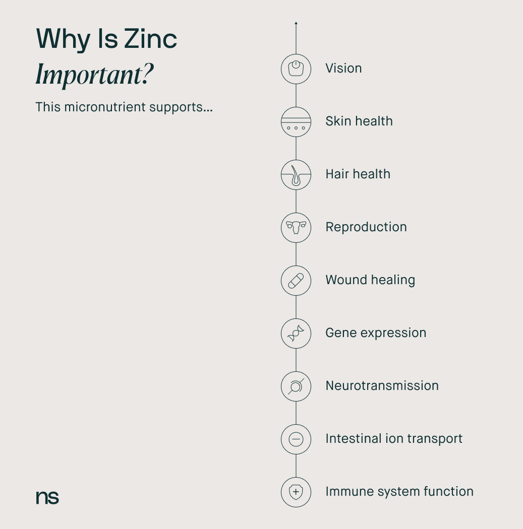 a list of reasons why zinc is important