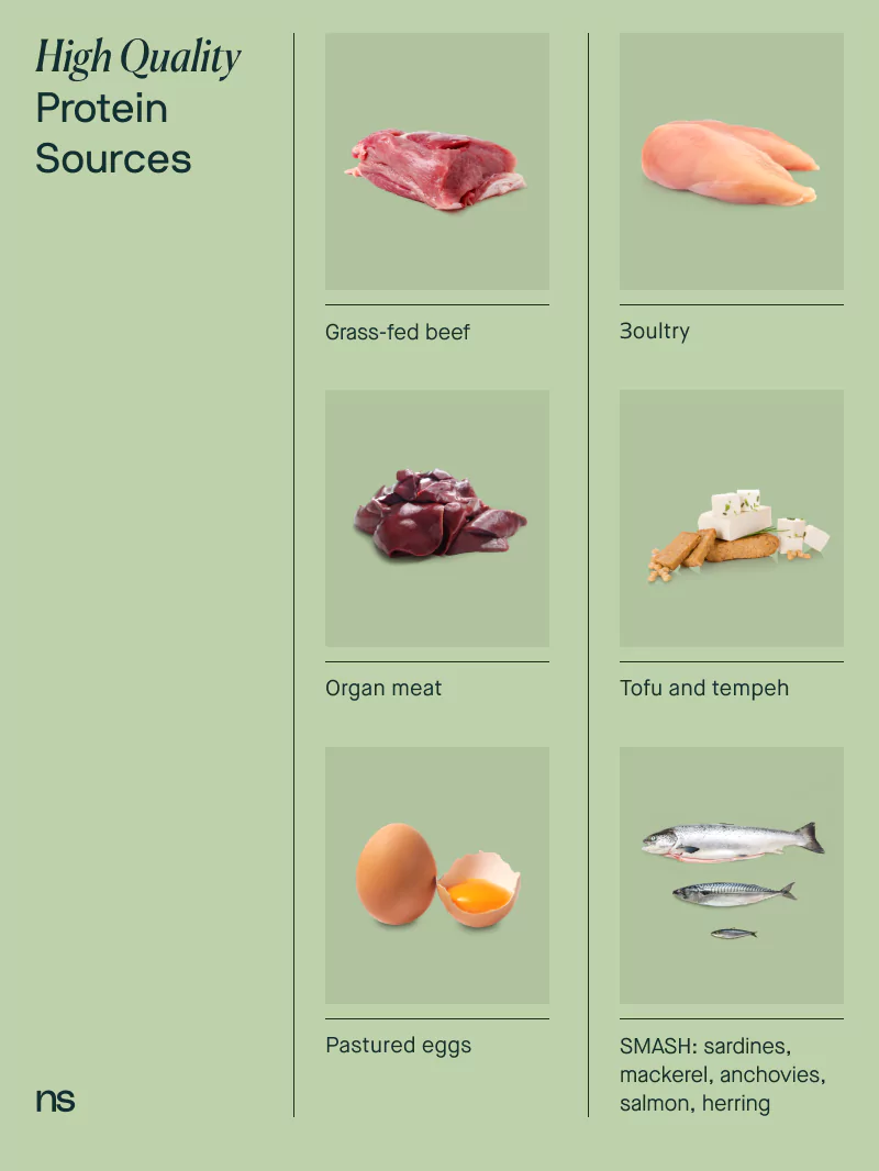 a graphic with various sources of protein