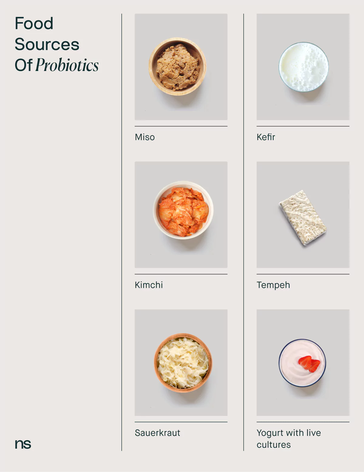 a graphic of food sources of probiotics