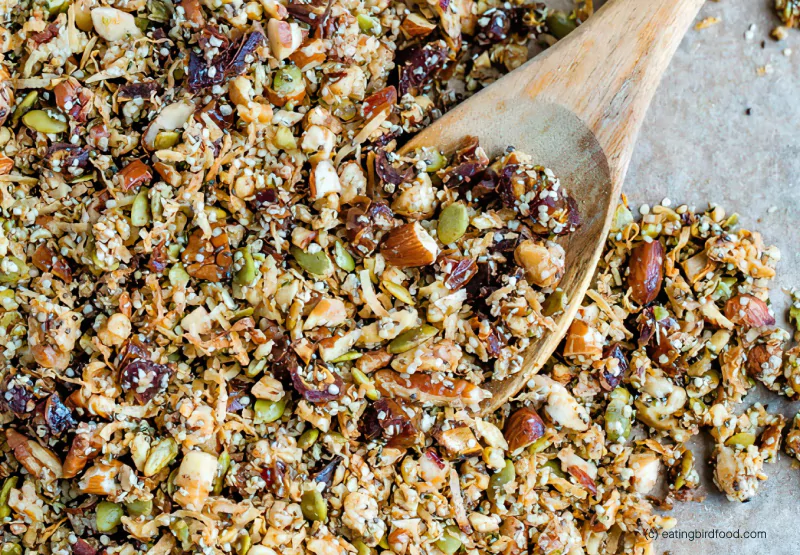 homemade granola on a baking tray