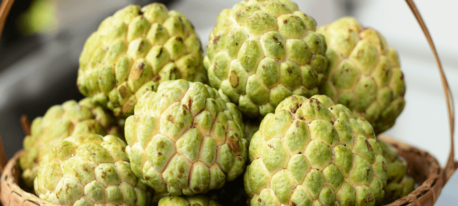 how to eat sugar apple