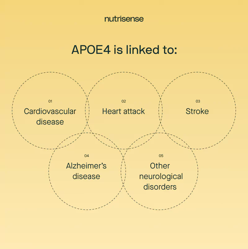 apoe4 gene health condition links