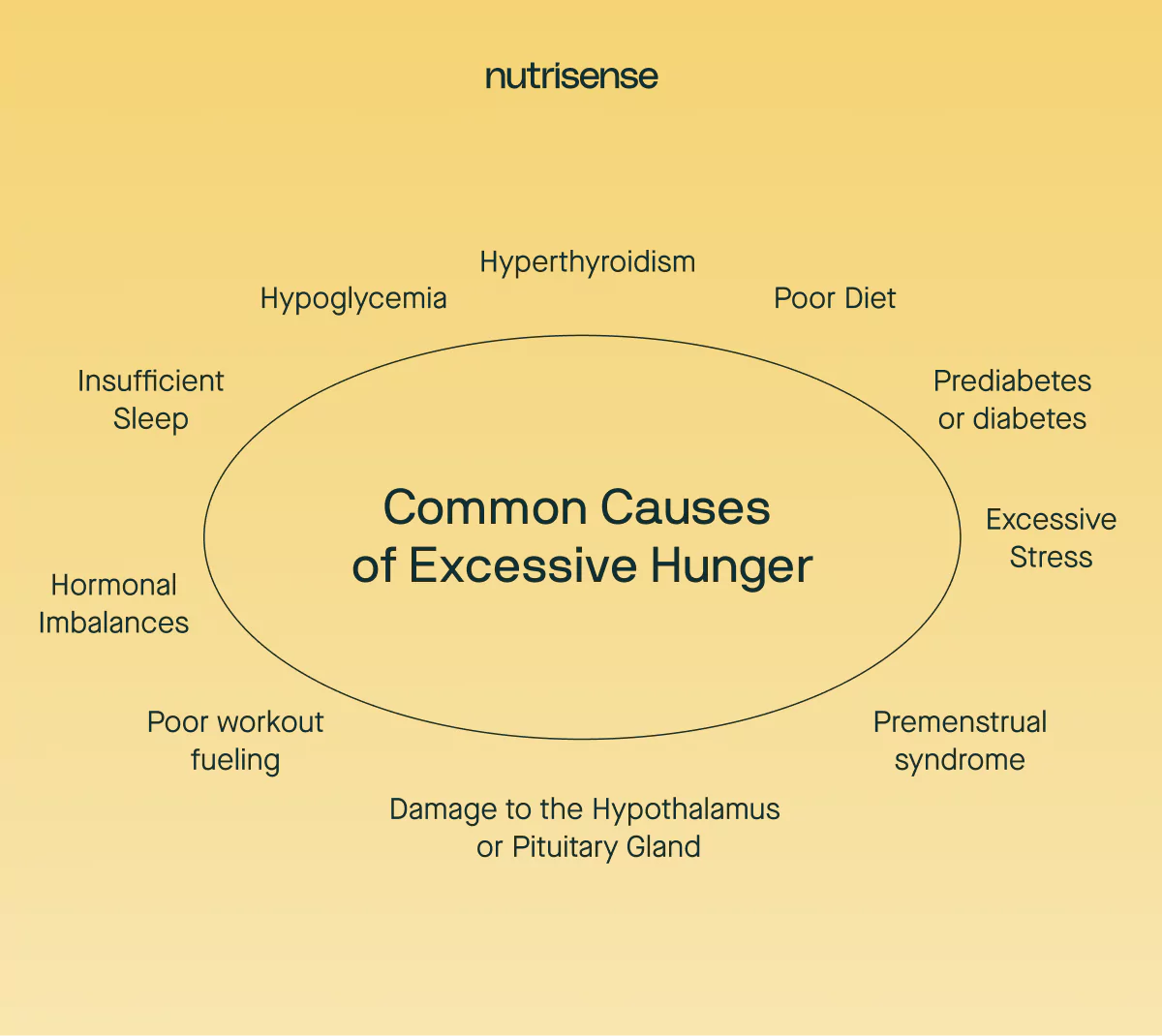 common causes of excessive hunger