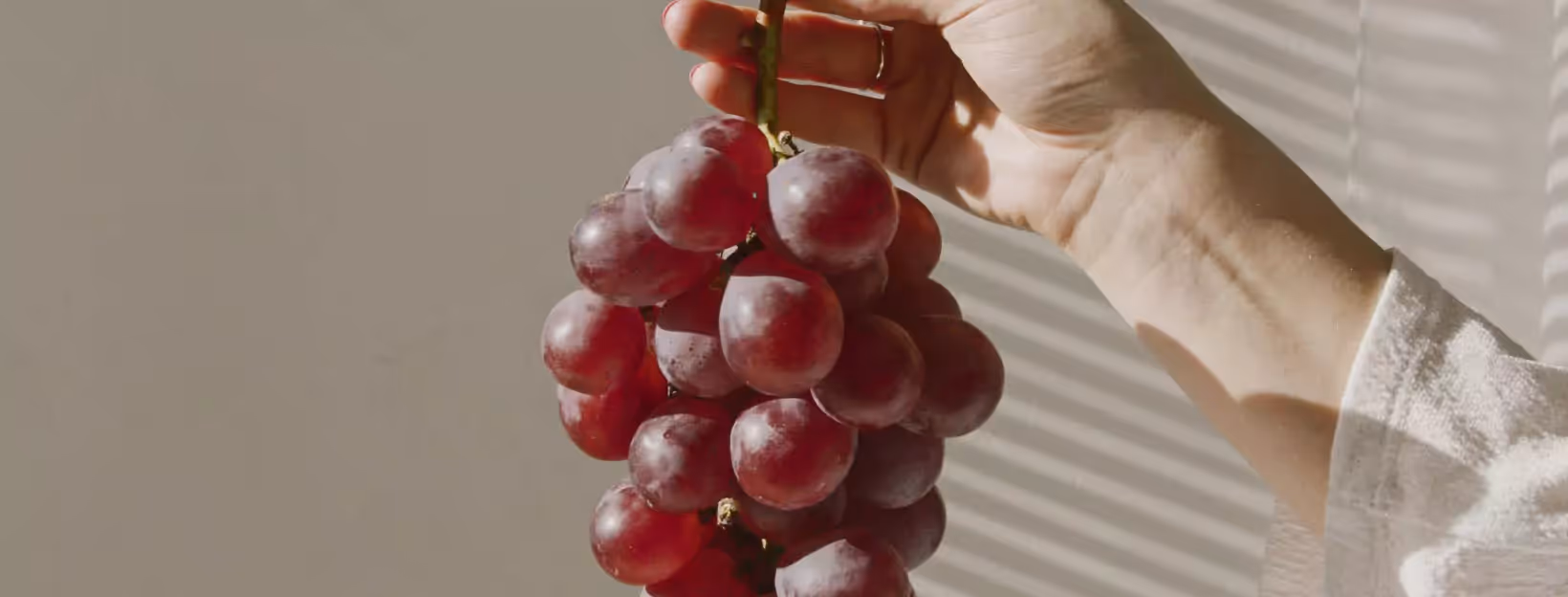 a person holding a bunch of red grapes