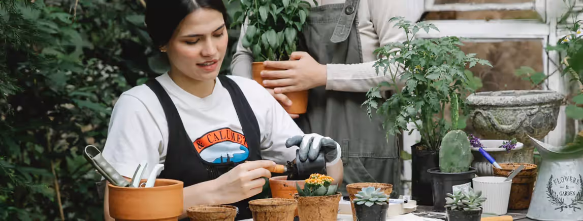 two people replanting houseplants