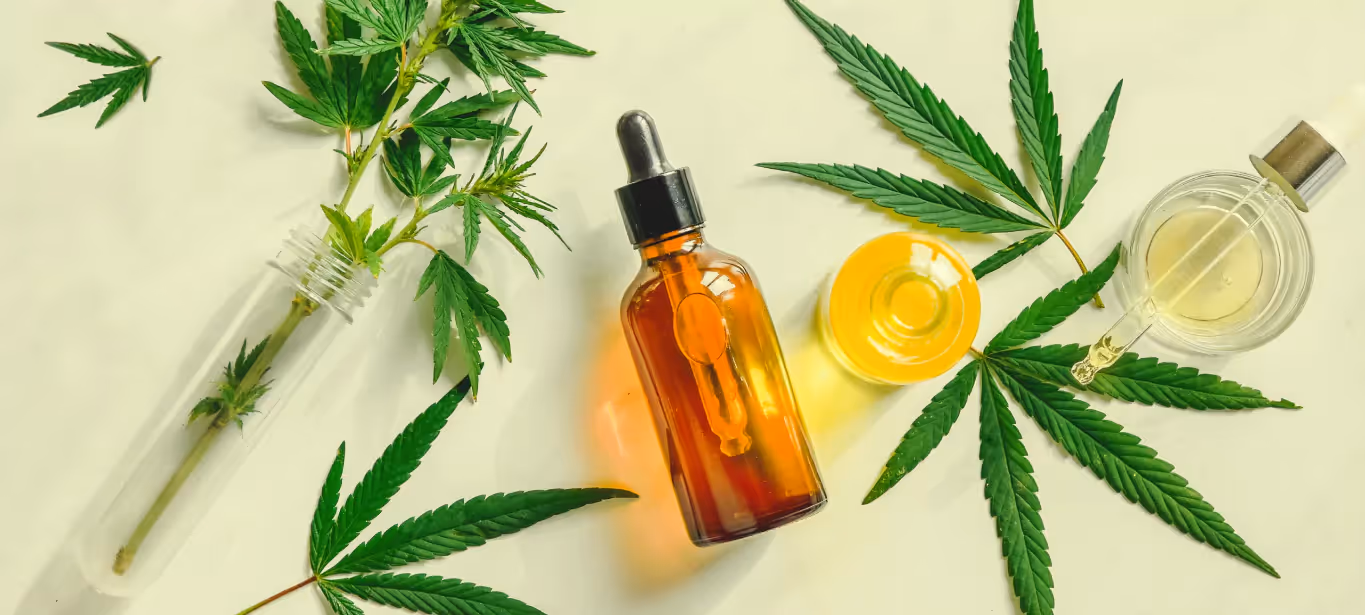 cbd oil and the plant form