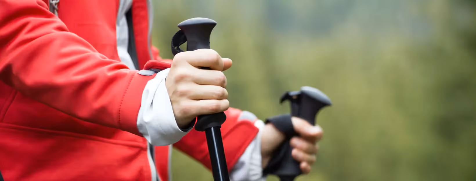 a person nordic walking