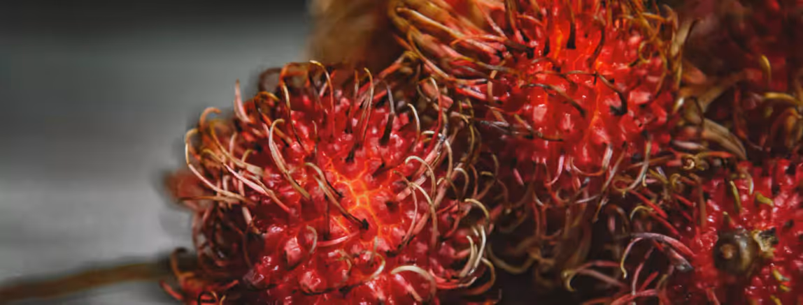 a few Rambutans