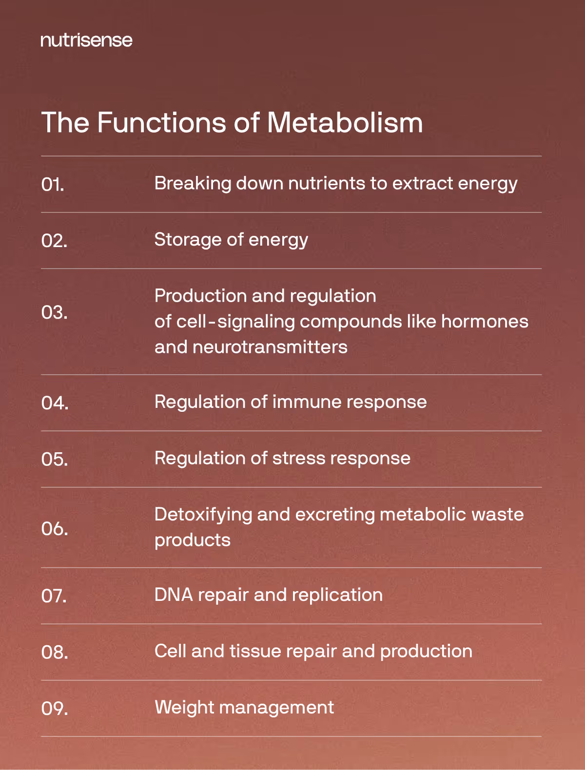 functions of metabolism