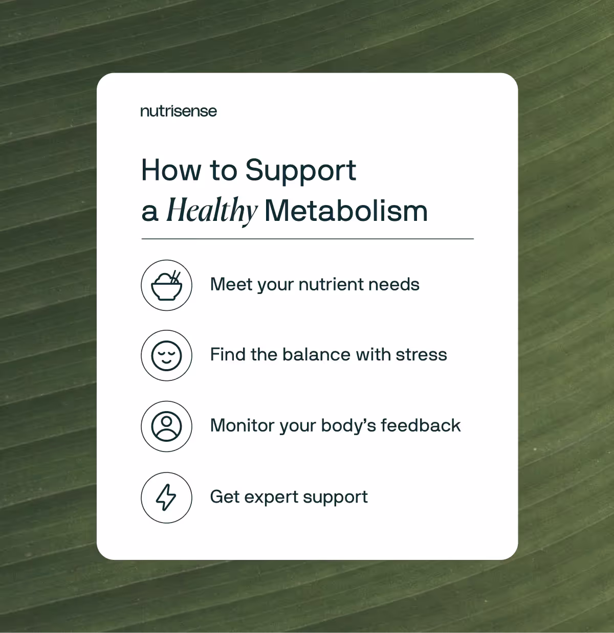 how to support a healthy metabolism