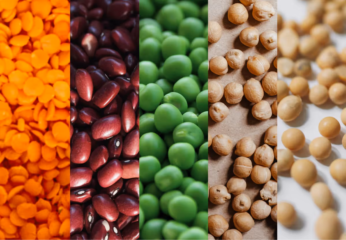 slow digesting legumess