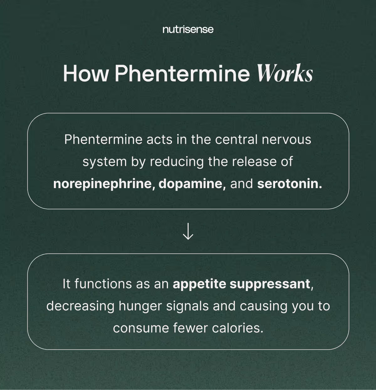 how phentermine works