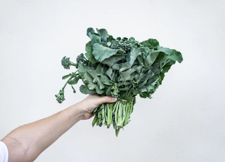 A bundle of broccoli and kale