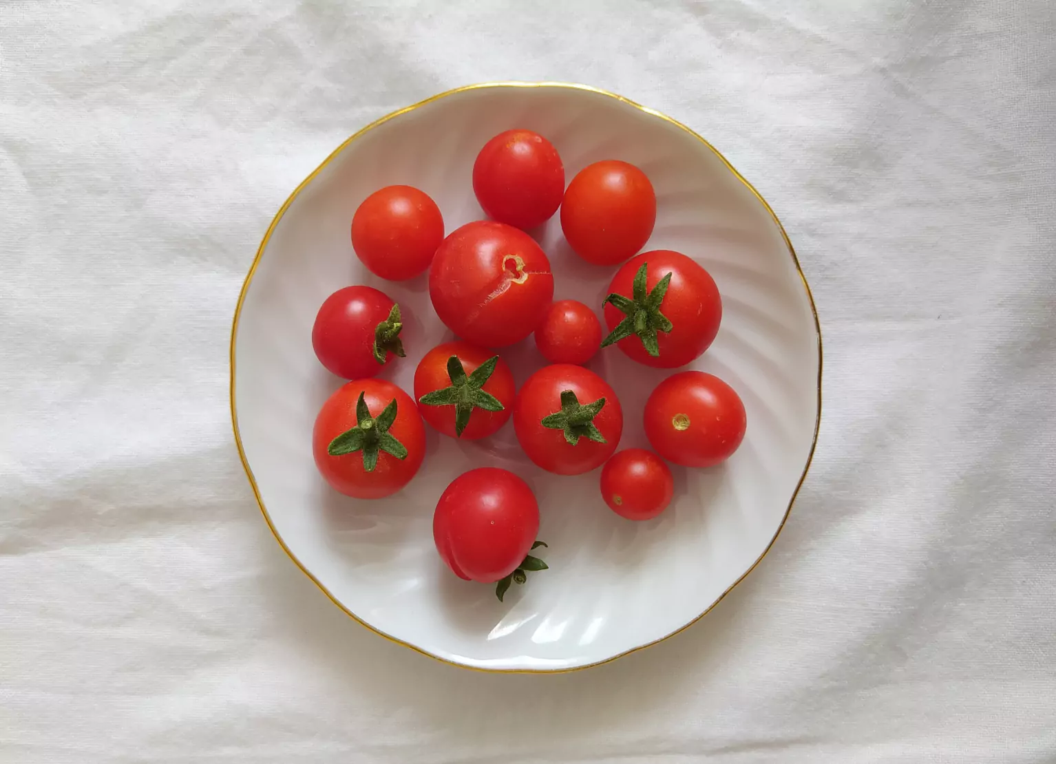 a plate of tomatoes