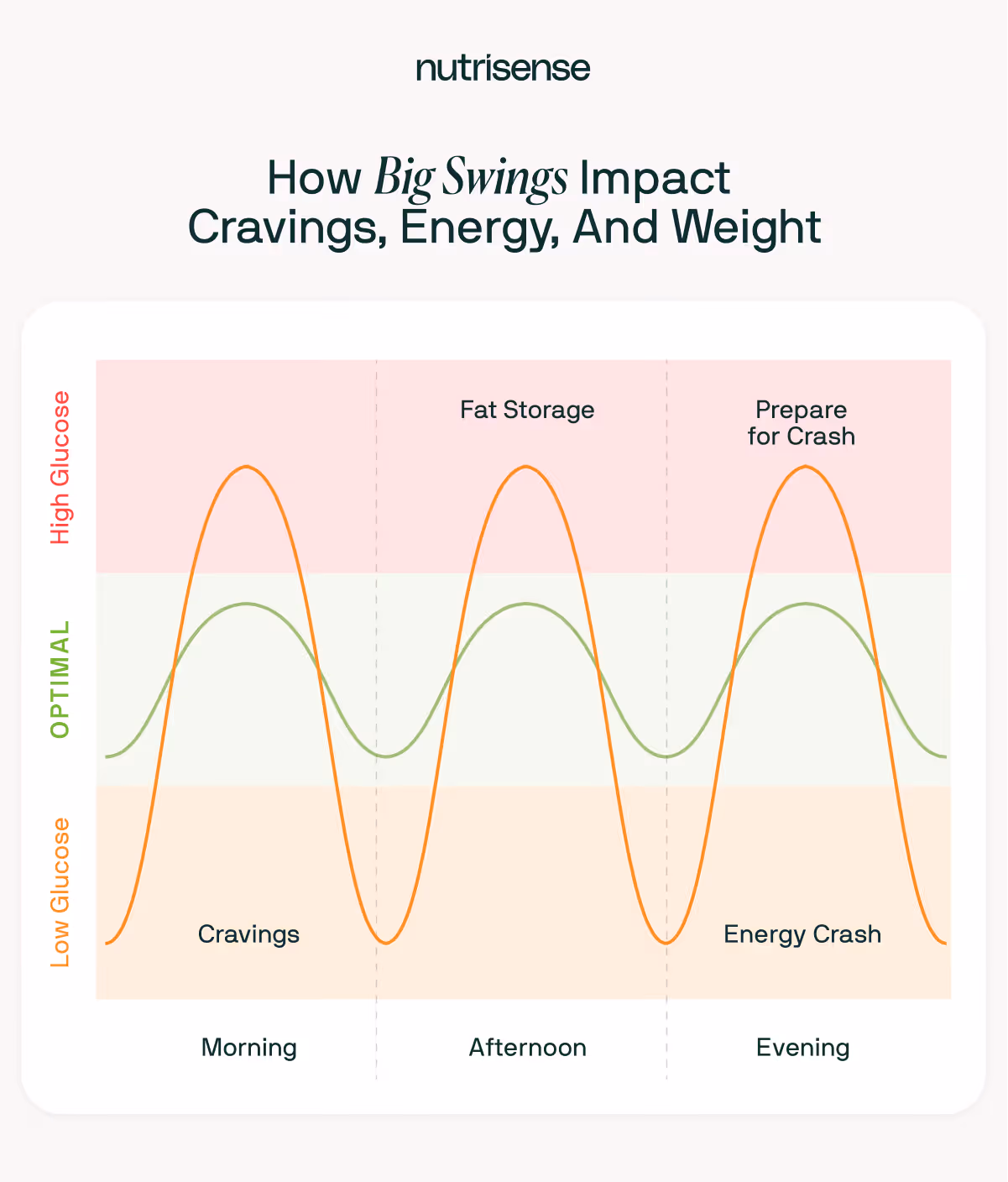 nutrisense blood glucose charts