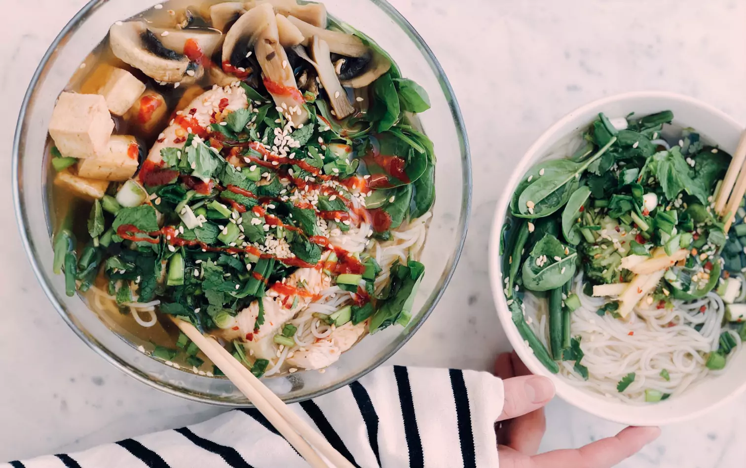 two bowls of noodles, tofu and herbs